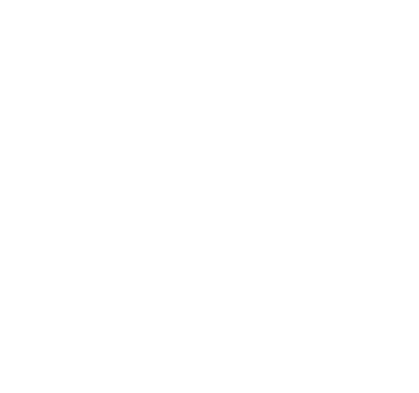 Envío gratis